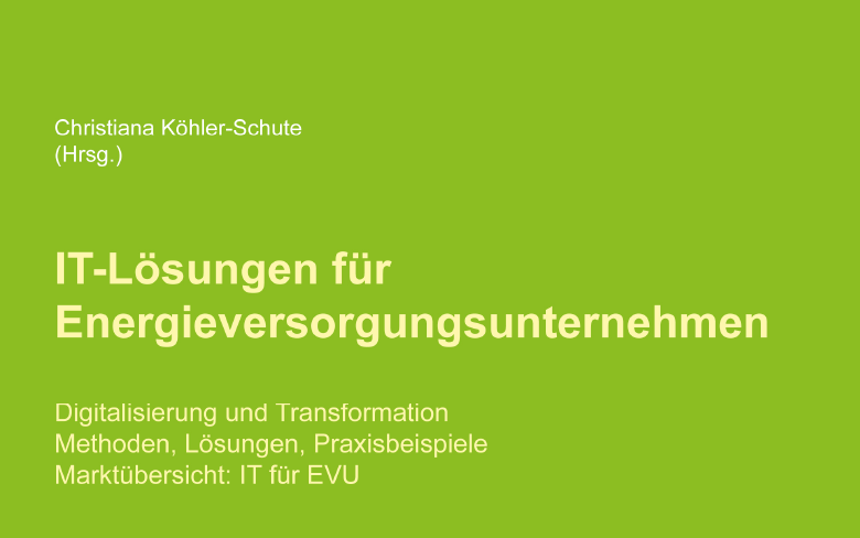 Fachbuch IT-Lösungen für die Energieversorgungsunternehmen
